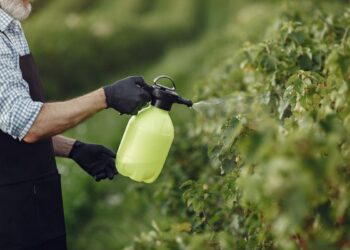 Iagro libera 15 novos agrotóxicos para venda em MS; dois são classificados como altamente tóxicos