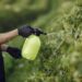 Iagro libera 15 novos agrotóxicos para venda em MS; dois são classificados como altamente tóxicos